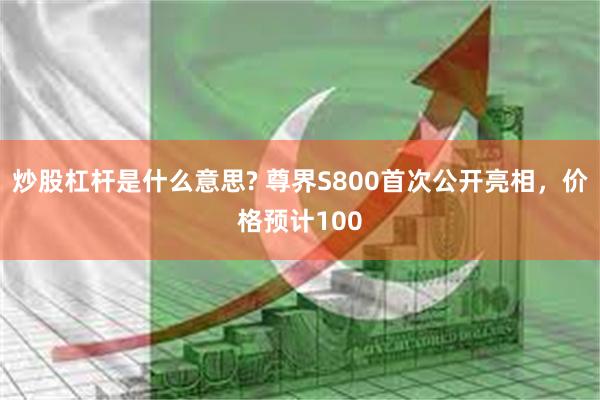 炒股杠杆是什么意思? 尊界S800首次公开亮相，价格预计100