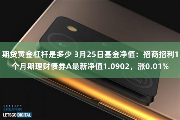 期货黄金杠杆是多少 3月25日基金净值：招商招利1个月期理财债券A最新净值1.0902，涨0.01%