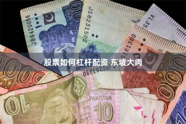 股票如何杠杆配资 东坡大肉