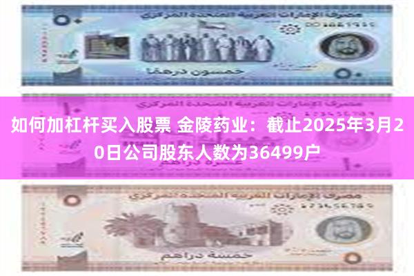 如何加杠杆买入股票 金陵药业：截止2025年3月20日公司股东人数为36499户
