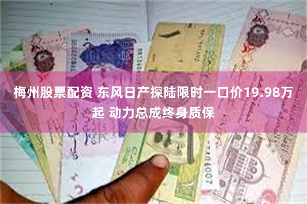 梅州股票配资 东风日产探陆限时一口价19.98万起 动力总成终身质保