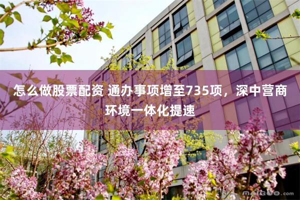 怎么做股票配资 通办事项增至735项，深中营商环境一体化提速