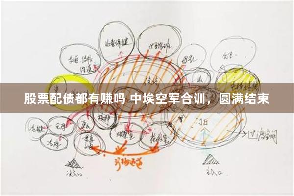 股票配债都有赚吗 中埃空军合训，圆满结束