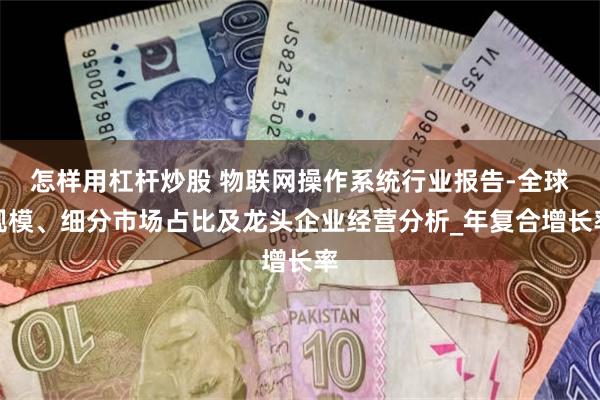 怎样用杠杆炒股 物联网操作系统行业报告-全球规模、细分市场占比及龙头企业经营分析_年复合增长率