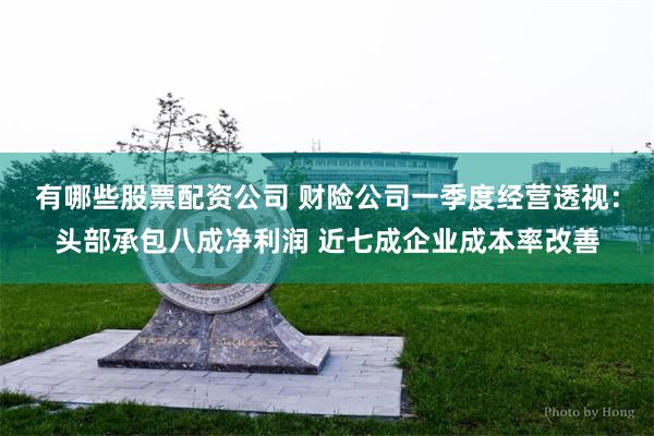 有哪些股票配资公司 财险公司一季度经营透视：头部承包八成净利润 近七成企业成本率改善