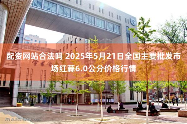 配资网站合法吗 2025年5月21日全国主要批发市场红蒜6.0公分价格行情