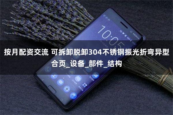 按月配资交流 可拆卸脱卸304不锈钢振光折弯异型合页_设备_部件_结构