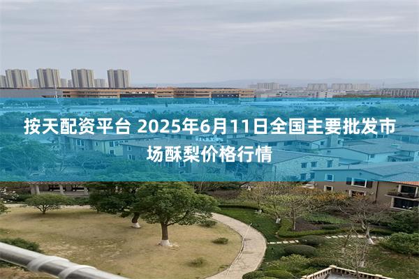 按天配资平台 2025年6月11日全国主要批发市场酥梨价格行情