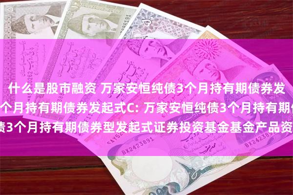 什么是股市融资 万家安恒纯债3个月持有期债券发起式A,万家安恒纯债3个月持有期债券发起式C: 万家安恒纯债3个月持有期债券型发起式证券投资基金基金产品资料概要(更新)