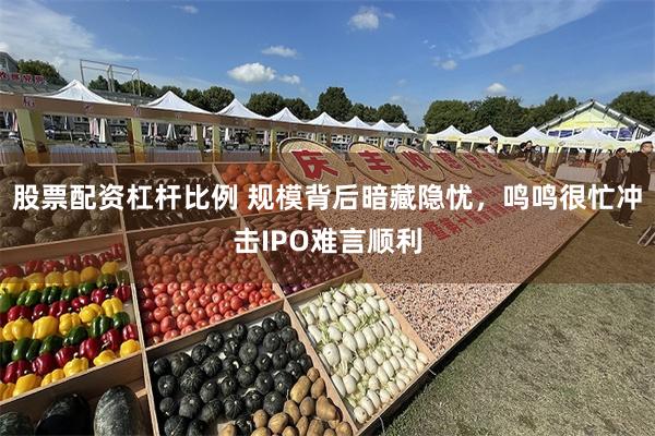股票配资杠杆比例 规模背后暗藏隐忧，鸣鸣很忙冲击IPO难言顺利