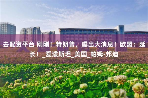 去配资平台 刚刚！特朗普，曝出大消息！欧盟：延长！_爱泼斯坦_美国_帕姆·邦迪