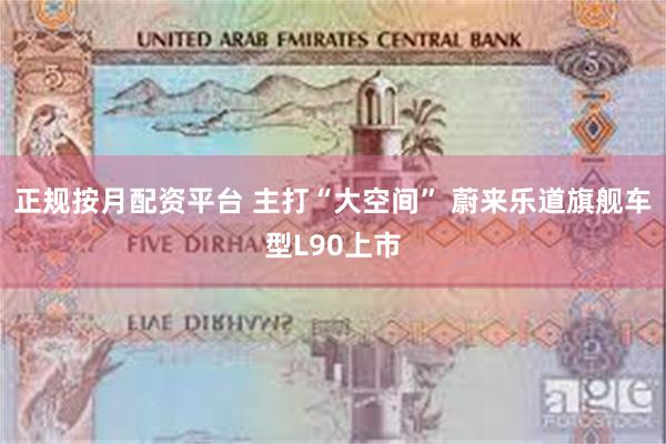 正规按月配资平台 主打“大空间” 蔚来乐道旗舰车型L90上市