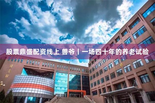 股票鼎盛配资线上 兽爷丨一场四十年的养老试验